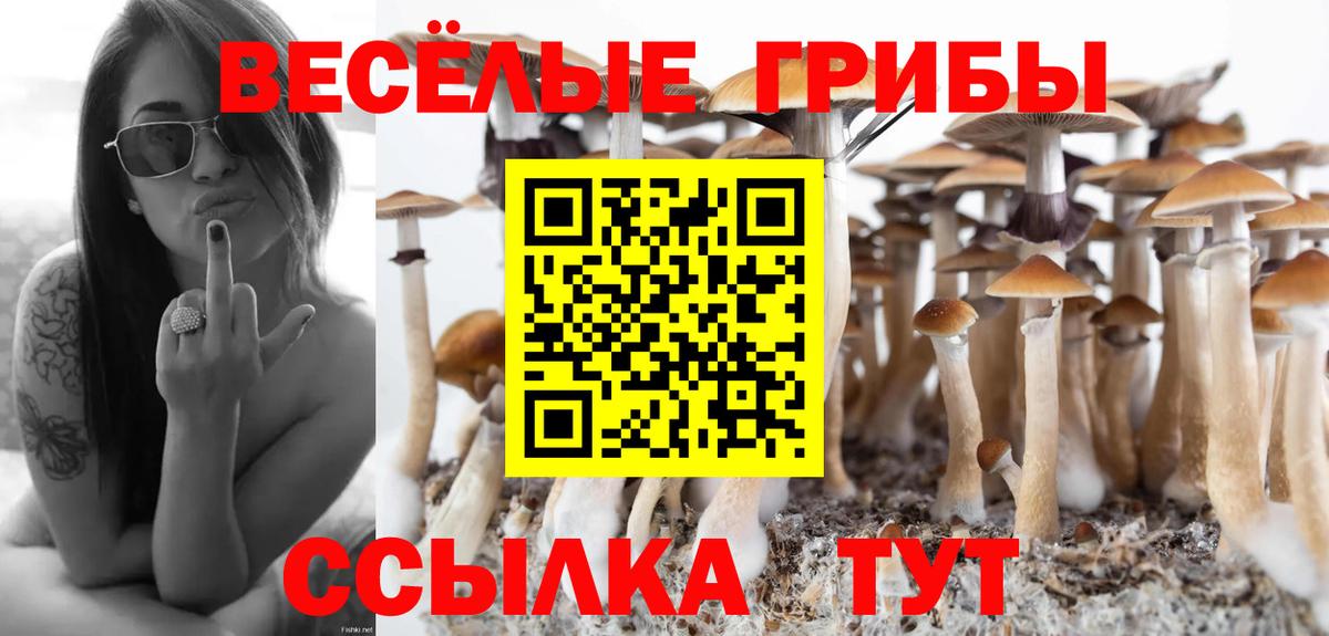 Сердобск  Галлюциногенные грибы прущие грибы  Вход с VPN 