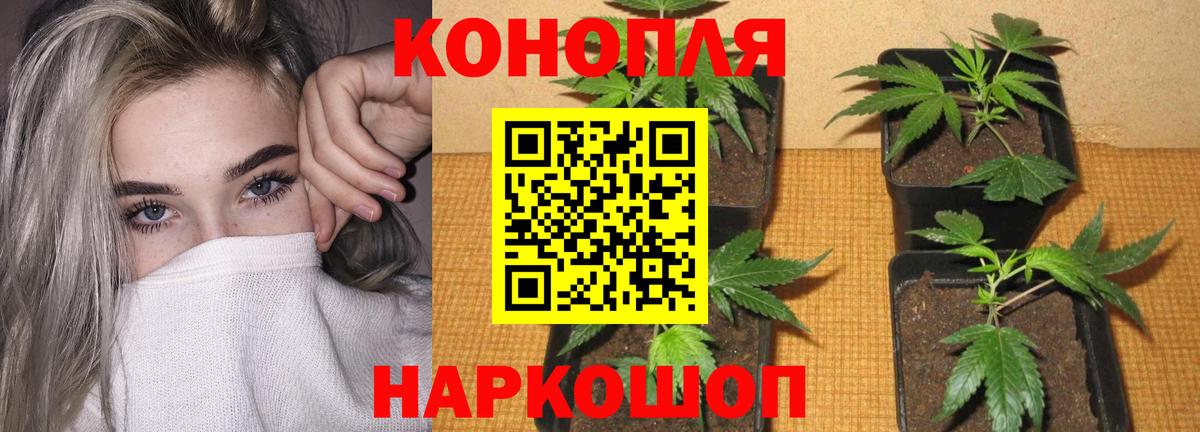 МАРИХУАНА Ganja Сердобск